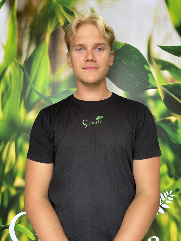 Martin By | Grönsta